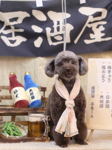 20240622モカくん